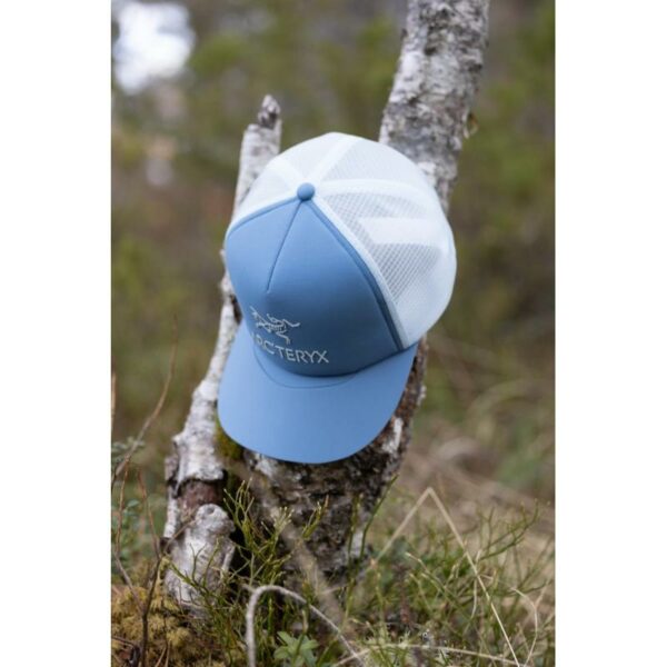 ArcTeryx ArcTeryx Bird Word Trucker Curved X000007763 SportSMaloy 1