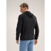 ArcTeryx ArcTeryx Delta Hoody M X000007743 SportSMaloy 2