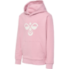 Hummel Hummel Hmlcuatro Hoodie 213850 SportSMaloy 4