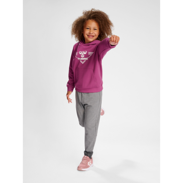 Hummel Hummel Hmlgail Hoodie 221026 SportSMaloy 1