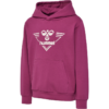 Hummel Hummel Hmlgail Hoodie 221026 SportSMaloy 3