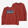 Patagonia Patagonia W´S L-S P-6 Logo Responsibili-Tee P37603 SportSMaloy 2