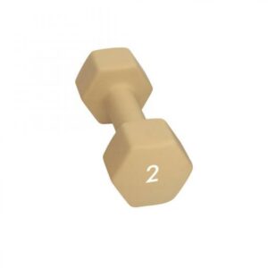 Abilica Dumbbell 2 Kg