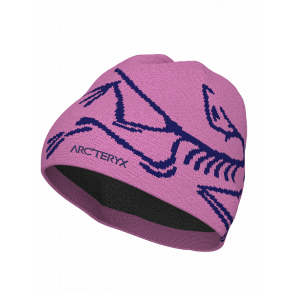 ArcTeryx ArcTeryx Bird Head Toque X000006756 SportS Måløy 1